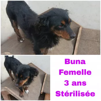 Buna